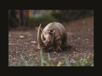 Mehmet Eren Eskikan - 