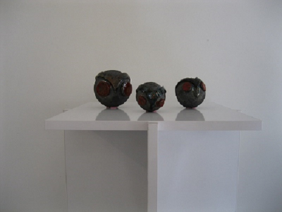 BUSE ÇALPAN BAYKUŞLAR