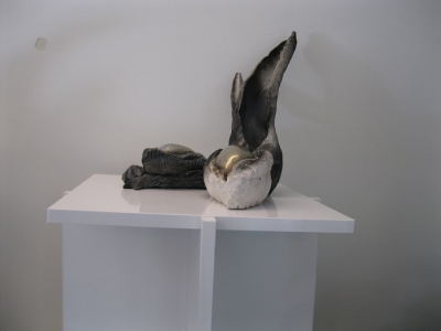 MERİÇ KURT DRAİZE